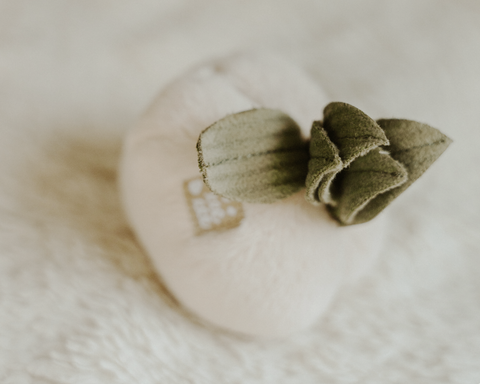 Montessori Education for Babies: Features and Recommended Play Materials