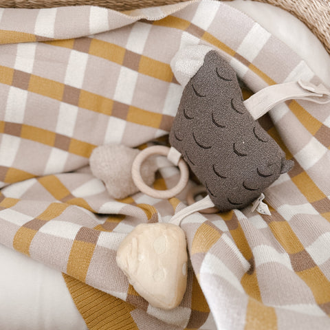 A brown and cream checkered baby blanket holds soft, textured toys, inviting cozy playtime.