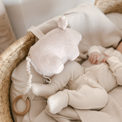 Baby rests in a wicker bassinet with a soft, knitted elephant comfort toy.