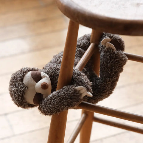 Sunny the sloth