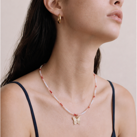 Papillon Memento