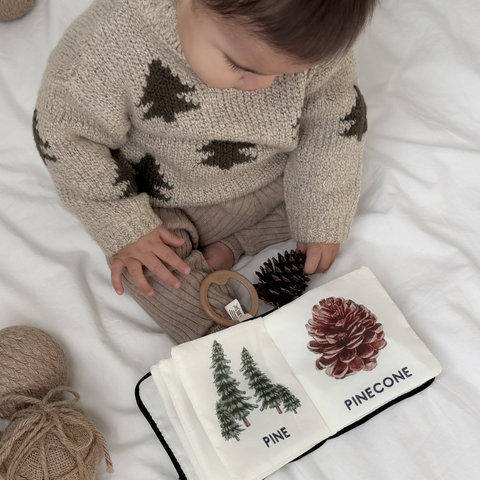 Baby’s First Christmas