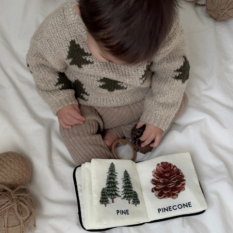 Baby’s First Christmas