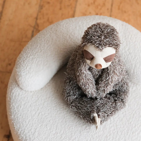Sunny the sloth