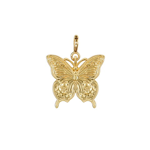 Papillon