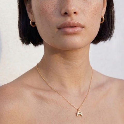 Controller Necklace