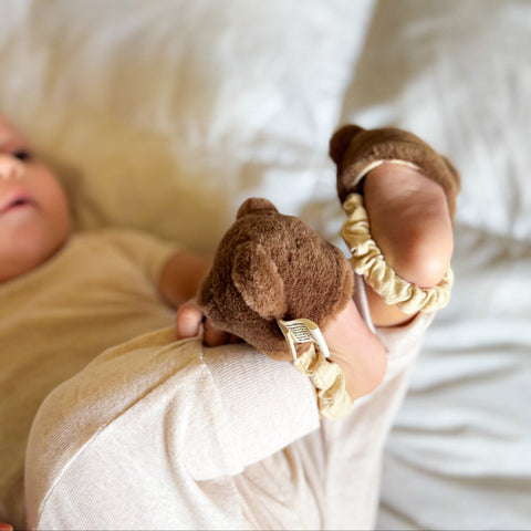Teddy kicking rattle