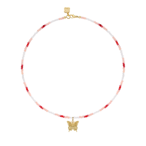 Papillon Memento