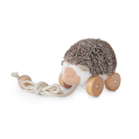 Hedgie