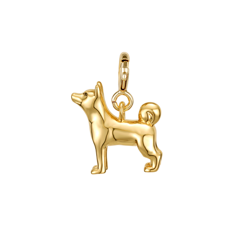 Shiba