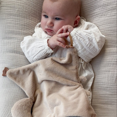 Flying Squirrel Lovey