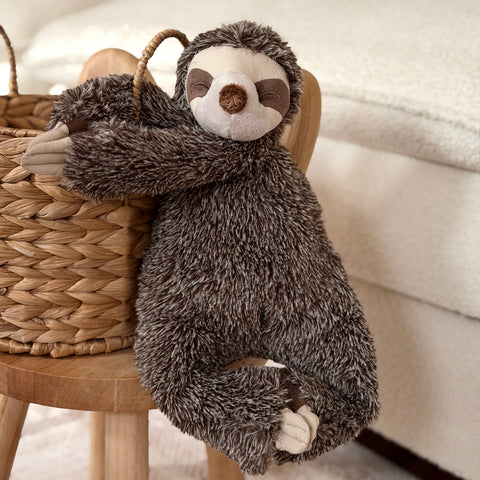 Sunny the sloth