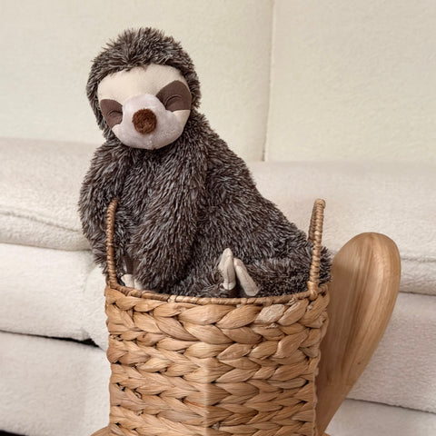 Sunny the sloth