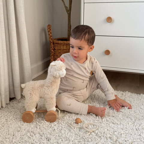 ALFIE THE ALPACA PULL-ALONG