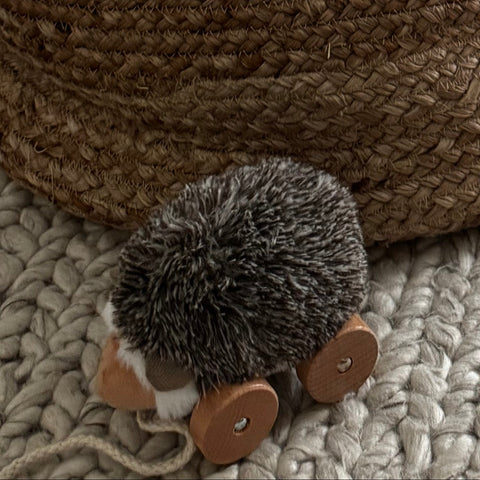 Hedgie