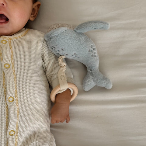 UNDER THE SEA rattle set