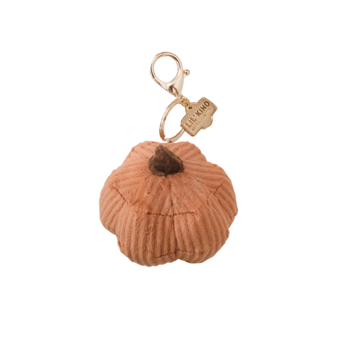 Cinderella CHARM