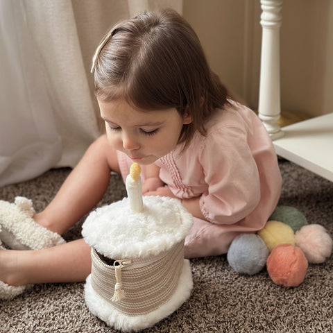 CAKE & TOSS CELEBRATION BIN