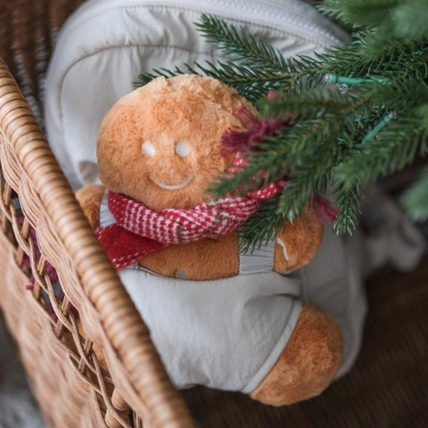 Pack Your Own Gingerbread Man