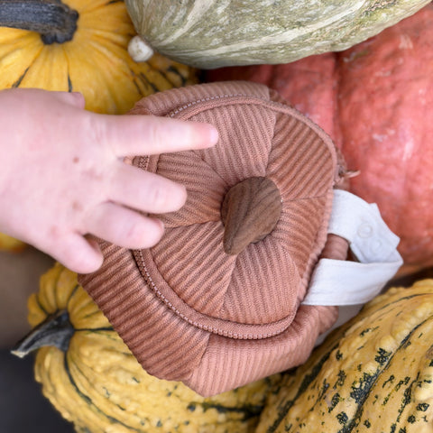 PUMPKIN POUCH