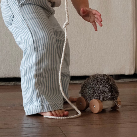 Hedgie