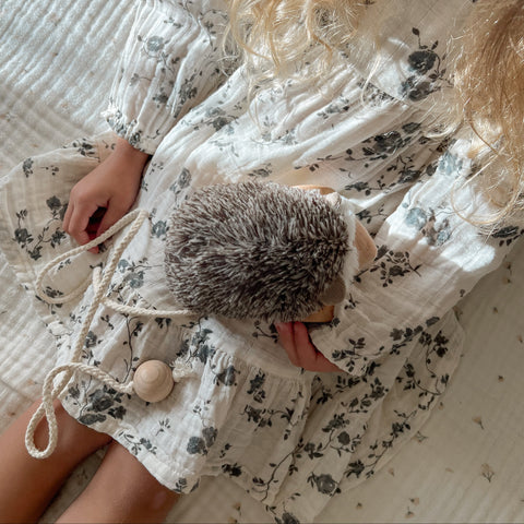 Hedgie