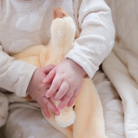 Duckling Lovey - Little Lamb Kind