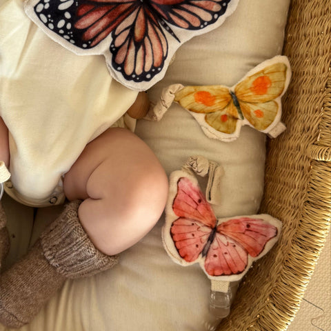BUTTERFLY PACI FRIENDS
