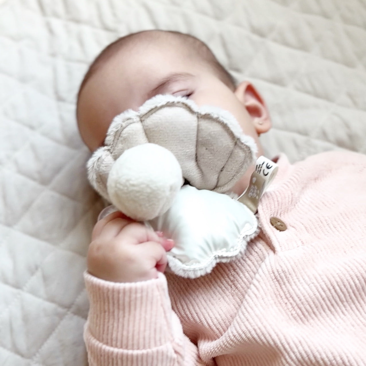 OYSTER – Little Lamb Kind