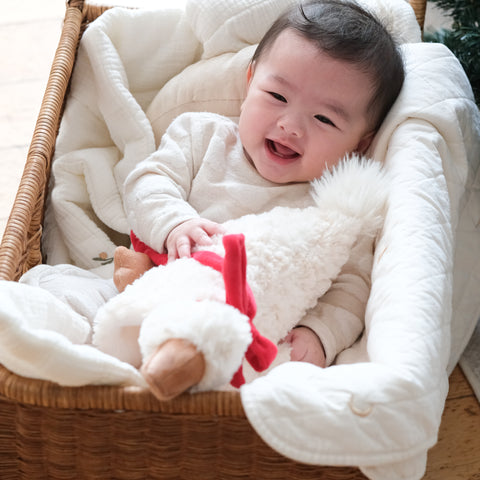 PIPPA - Little Lamb Kind