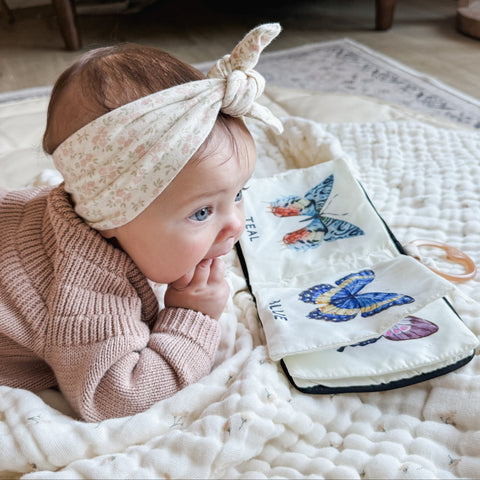 COLORS OF BUTTERFLIES