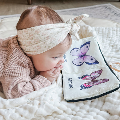 COLORS OF BUTTERFLIES