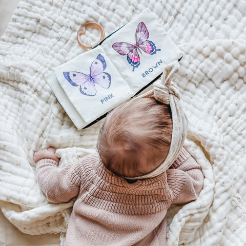 COLORS OF BUTTERFLIES