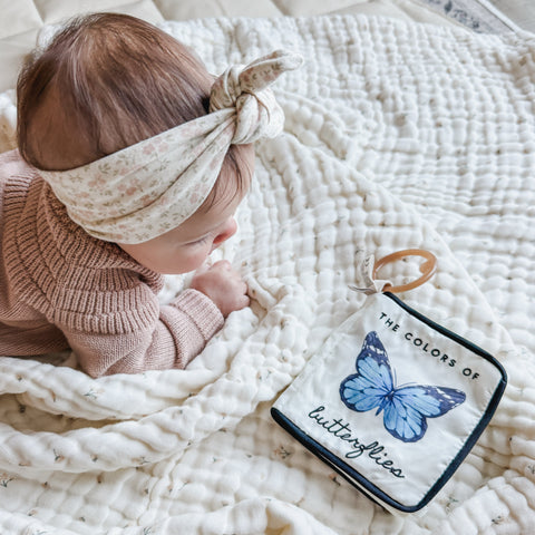 COLORS OF BUTTERFLIES