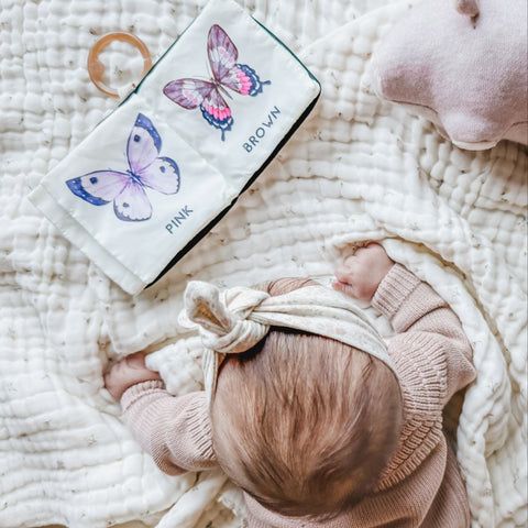 COLORS OF BUTTERFLIES